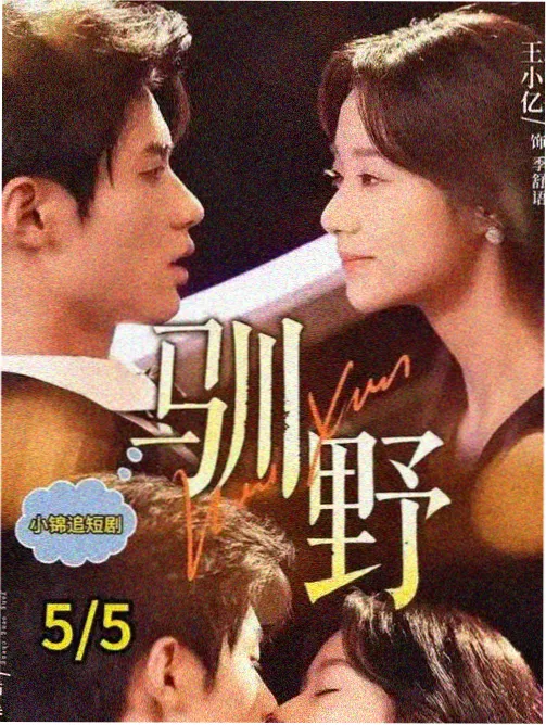 字段化描述方法说明配图